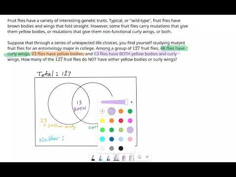 Pre Algebra: Probability and Counting -- 6 🦟