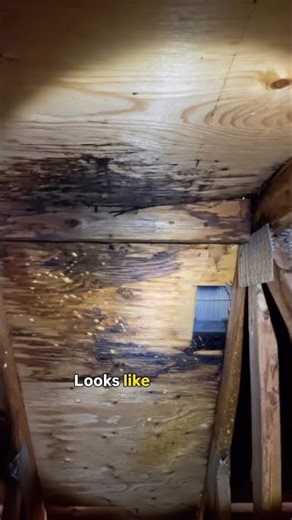 Home Renovation #HomeRenovation #HomeImprovement #HouseRenovation #Remodeling