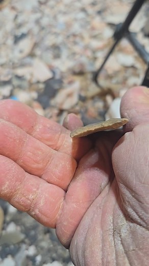 Edward Mosher on Reels