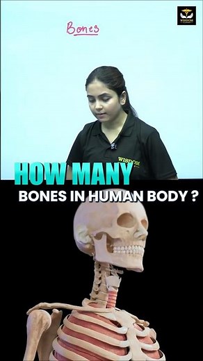 How Much Do Your Bones Actually Weigh? #amazingfacts #science #shorts