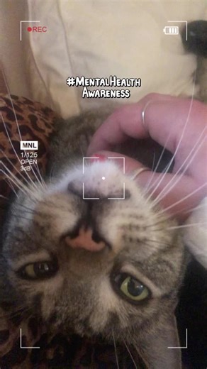 Amber Lace on TikTok