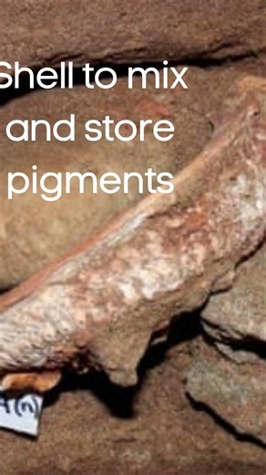 Blombos Cave: The World's First Art Studio? 🎨 | African Art History