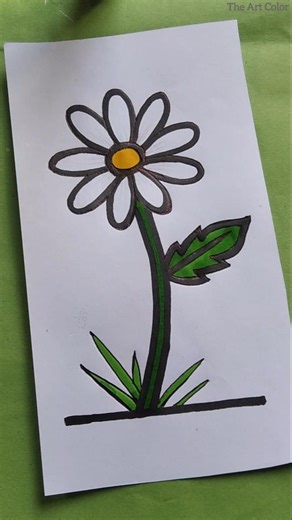 Daisy flower drawing || Easy drawing #shorts #art #shortvideo