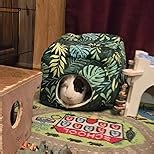 Bienbee Guinea Pig Hideout, Washable Guinea Pigs House Cozy Guinea Pigs Bed for Small Pet Bunny/Rabbit/Hamster/Chinchilla Guinea Pig Accessories Forest Landscape