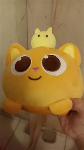 26 de fevereiro de 2026