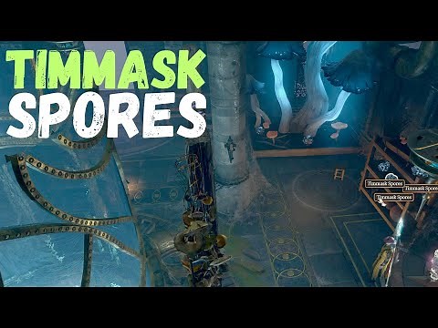 Timmask Spores Exact Location Baldur's Gate 3