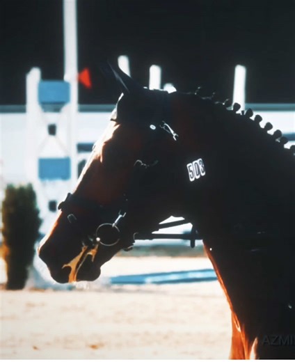 My Super Hero: The Amazing World of Horses