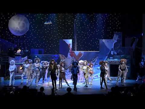 Memory (Reprise), Journey to the Heaviside Layer, and The Ad-dressing of Cats