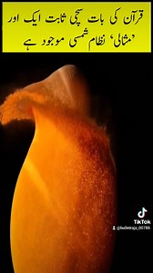 New solar system discovered | Knowledge TV