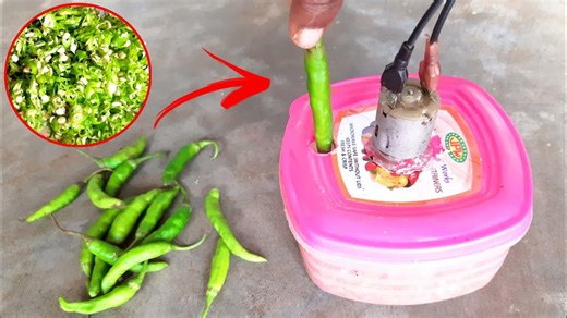 DIY Homemade Chilli Cutter: Easy and Efficient
