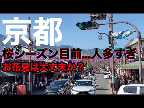 【京都観光】嵐山美しいはずの町が…観光客で地獄になっていた｜嵐山混雑のリアルを記録 #京都観光 #女ひとり旅 #京都嵐山