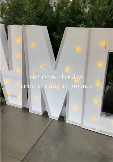 i went to a vintage market! i was hoping to find some bookshelf decor, but i did find this ACOTAR owala 👀 how cute! #booktokgirlies #acotarseries #owala #bookthings #velaris @Owala @VMD of Midlands Upstate SC