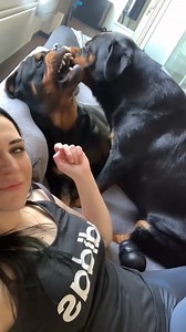 life with dogs #gangrottie #rottweiler #life #funnydogs #playing #happydogs #dogslife #foryou #fyp #thenicegirlx #do.#cutedog #animals #doggy #goldenretriever #instapuppy #cutepuppy #dogslife #puppydog #instagood #happydog #frenchbulldog #of #labrador #dogmom #photooftheday #adoptdontshop #frenchie #happy #bulldog #germanshepherd #poodle #pitbull #photography #rescuedog #picoftheday #adorable #americanbully #bully #animal #lovedogs | 9K