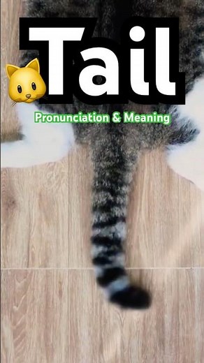 🐈‍⬛ Tail Pronunciation and Meaning in English 🐱 What is a Cat’s Tail? Tail Definition #cat #esl