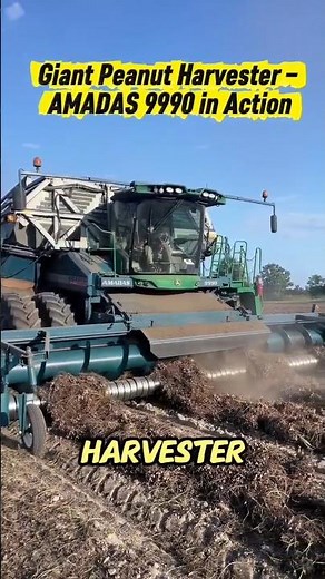 Giant Peanut Harvester – AMADAS 9990 in Action. #agriculturetechnology