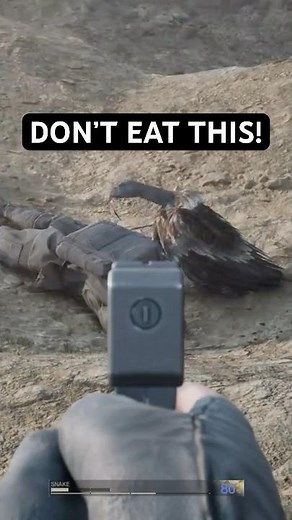 The vulture ate human meat...
