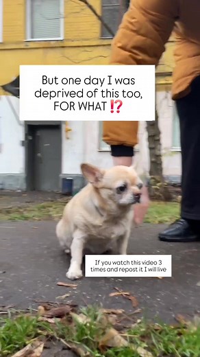 5.3K views · 431 reactions | Sofa was thrown out onto the street...