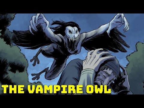 The Strange Vampire Owl of Slavic Mythology - Strzyga