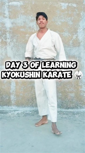 kyokushin karate 🥋 (Part-3) || #karate #martialarts #kick