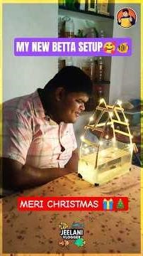 DIY Betta Tank Setup 🐠