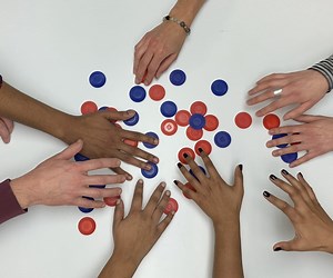 Common Good: Middle School Sustainability Lesson Plan