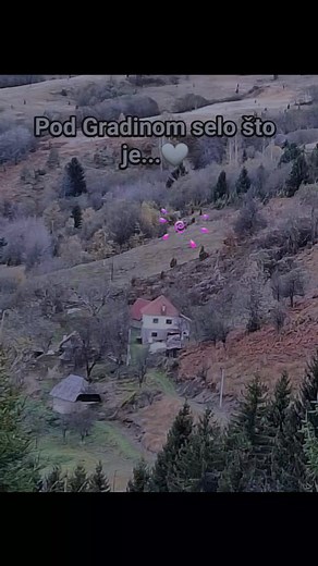 Milojka Vojinovic on Reels