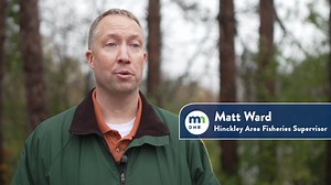 89K views · 1.1K reactions | Muskellunge, or muskie, are one of the...