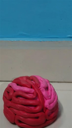 Clay modelling of brain for school project #viral #craft #clay #model #modeling #shorts #brain