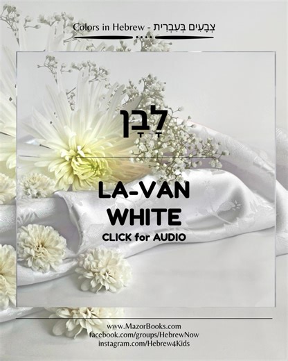 19 reactions | The Color: White Masculine: לָבָן (la-VAN)...