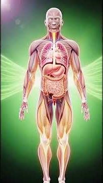 How Pulao Fuels The Human Body#Pulao #FoodScience #HumanBody #Digestion #Nutrition #MedicalAnimation
