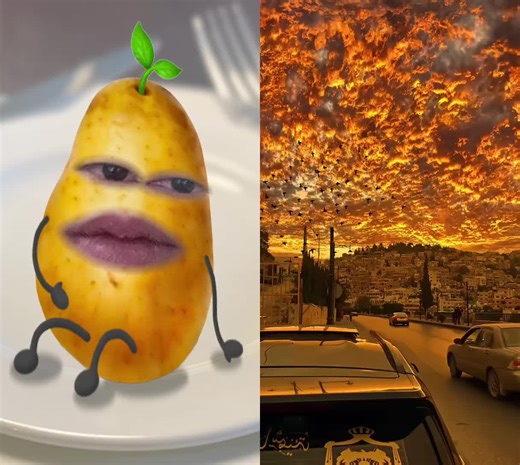 #duet cùng @liz_110 #sunset