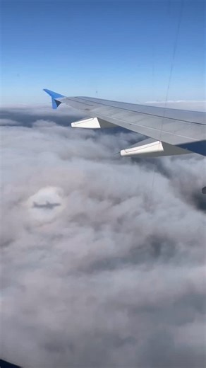 🏀 GAMEDAY IN DAYTONA!🏝️ The Pios are back on the floor at the "World’s Most Famous Beach"! 📍 Florida Sunshine Shootout 🏟 Ocean Center | Daytona Beach, Fla. ⏰ 4:00 PM Tip-Off Dec. 28 🆚 Gustavus Adolphus (8–1) ⏰ 6:00 PM Dec. 29 🆚 Dubuque (7-2) 🎥 Watch Live (Pay-Per-View): 👉 bit.ly/4jh2oQh @transylvaniauniversity @transyalumni @sporttours.international | Brian Lane