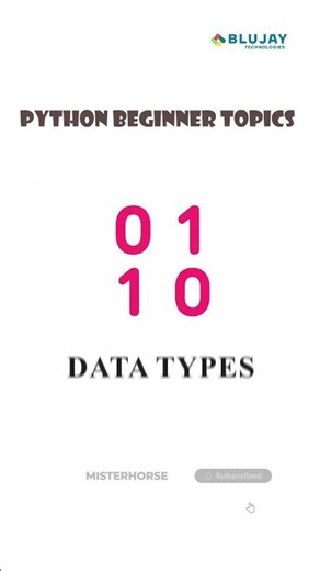 These Python Basics Change EVERYTHING #python #programming #mindblown #peddi