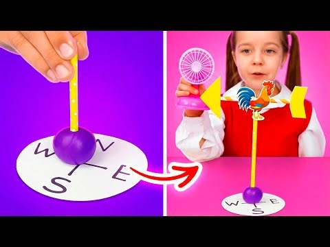 Let’s Learn Directions and More Fun School Topics!