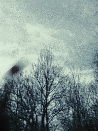 orphan #orphan #esthercoleman #horror #aestheticedits cc/ sharpen mine , twx yago