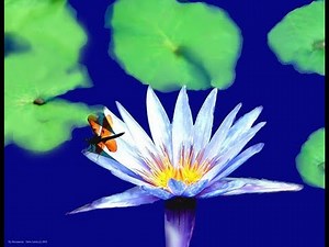 TM1 Draping / Swedish Basics