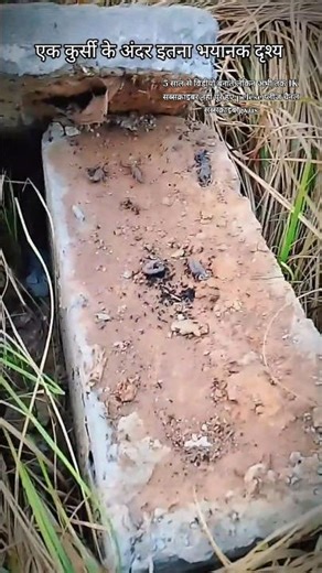 एक कुर्सी के अंदर इतना भयानक दृश्य 😲 #shorts #youtubeshorts #rajan_raosahab #motivation