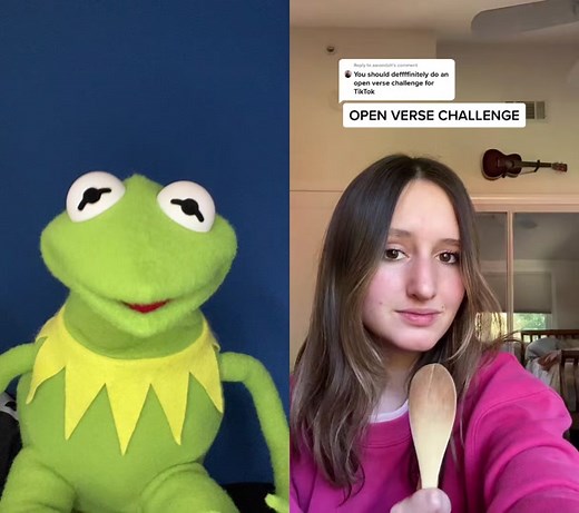Kermitthepuppet on TikTok