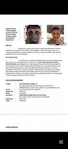 Sample of resume format for applying in Australia 🇦🇺#everyonehighlightsfollowerseveryonehighlightsfollowerseveryone2025 #fbreelsfypシ゚viralfbreelsfypシ゚viral #fbreelsfypシ゚viralfbreelsfypシ゚viral2024viral | Mekani Kho