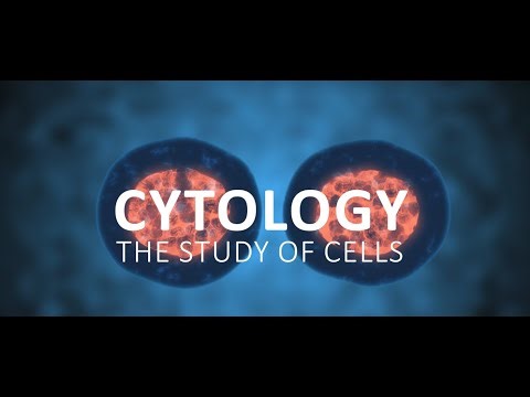 Consider A Career in Cytology