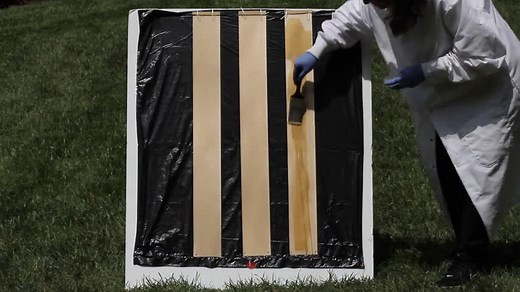 A new way to make wood transparent