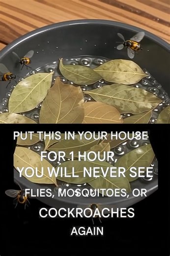 Just boil these leaves — no more flies, mosquitoes, or cockroaches! (check in the first comment👇) | Voice of Hope