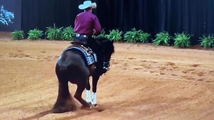 “224” starting the 2025 Derby off with Bill Coburn’s homebred VINTAGE CHEX! | Andrea Fappani