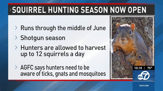 Squirrel hunting season in the Natural State begins