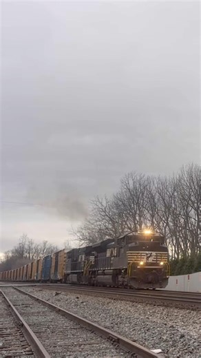 NS 16T with NS 1179 with a nice deep K5LLA