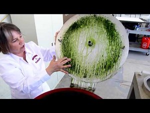 UA Professor Kim Ogden Takes the Helm at the American Institute of Chemical Engineers