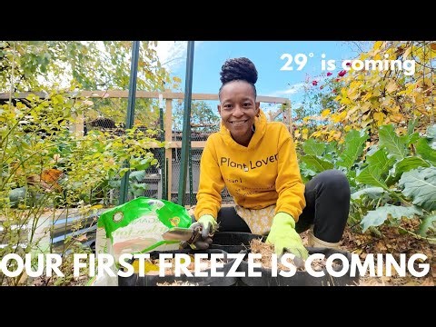 Amending the Last Grow Bags | So Many Changes on the Homestead (It Feels Like I'm Living a Dream)