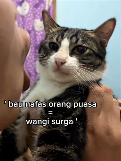 Wangi Surga: Nafas Puasa dan Kucing Mujair