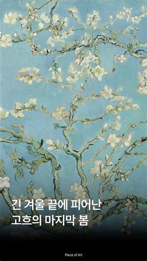 긴 겨울 끝에 피어난 고흐의 마지막 봄 #고흐 #꽃피는아몬드나무 #반고흐