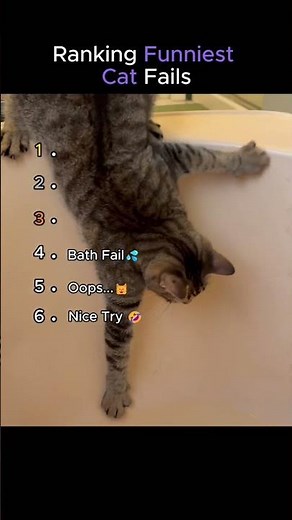 Ranking Funniest Cat Fails 😂